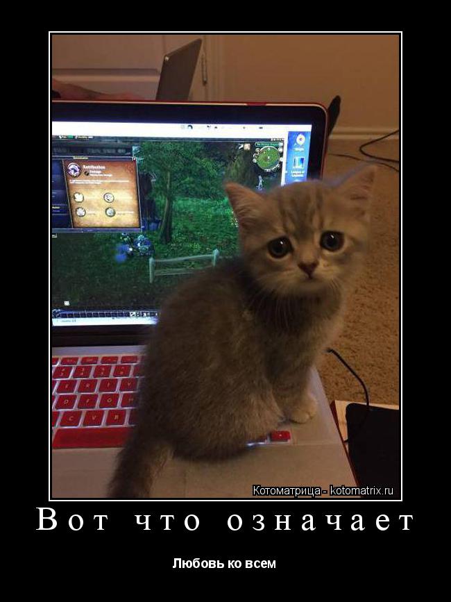 Вот что означает Любовь ко всем... Котоматрица: Вот что означает Любовь ко всем