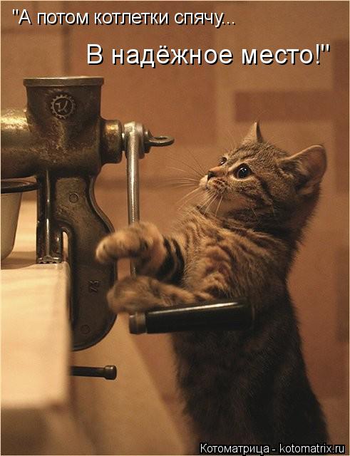 "А потом котлетки спячу... В надёжное место!"... Котоматрица: "А потом котлетки спячу... В надёжное место!"