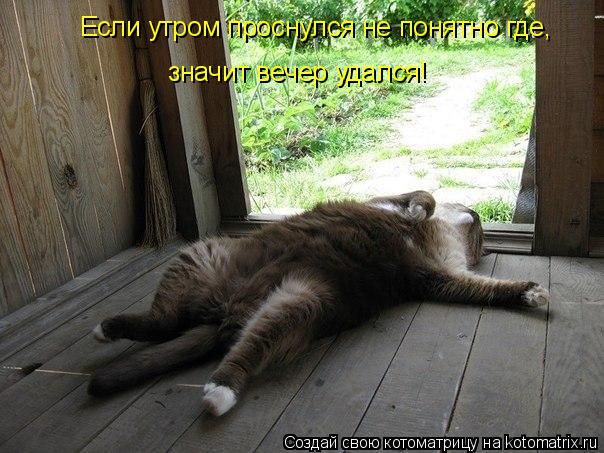 Если утром проснулся не понятно где, значит вечер удался!... Котоматрица: Если утром проснулся не понятно где, значит вечер удался!