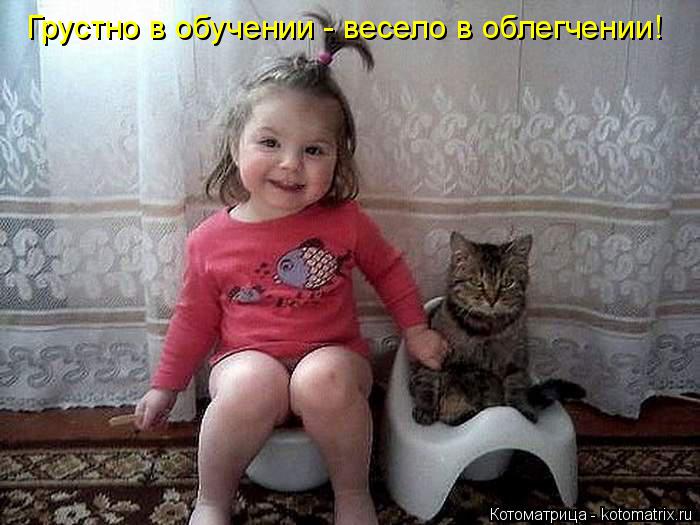 Грустно в обучении - весело в облегчении!... Котоматрица: Грустно в обучении - весело в облегчении!