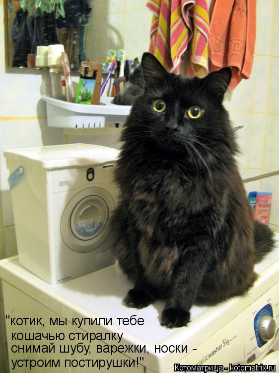 "котик, мы купили тебе кошачью стиралку снимай шубу, варежки, носки - устроим постирушки!"... Котоматрица: "котик, мы купили тебе кошачью стиралку снимай шубу, варежки, носки - устроим постирушки!"