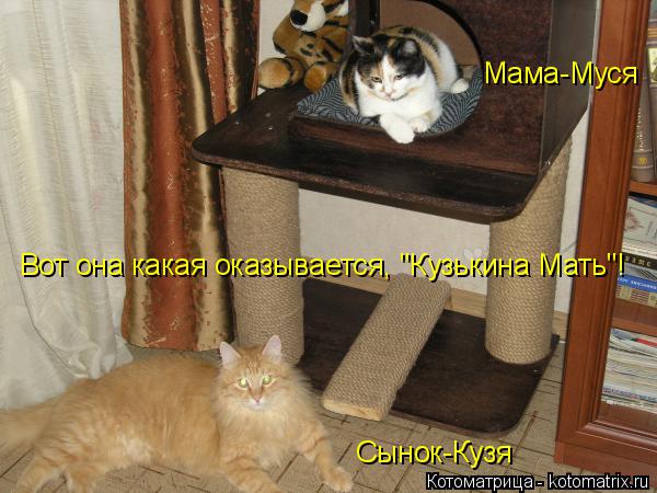 Мама-Муся Сынок-Кузя Вот она какая оказывается, "Кузькина Мать"!... Котоматрица: Мама-Муся Сынок-Кузя Вот она какая оказывается, "Кузькина Мать"!