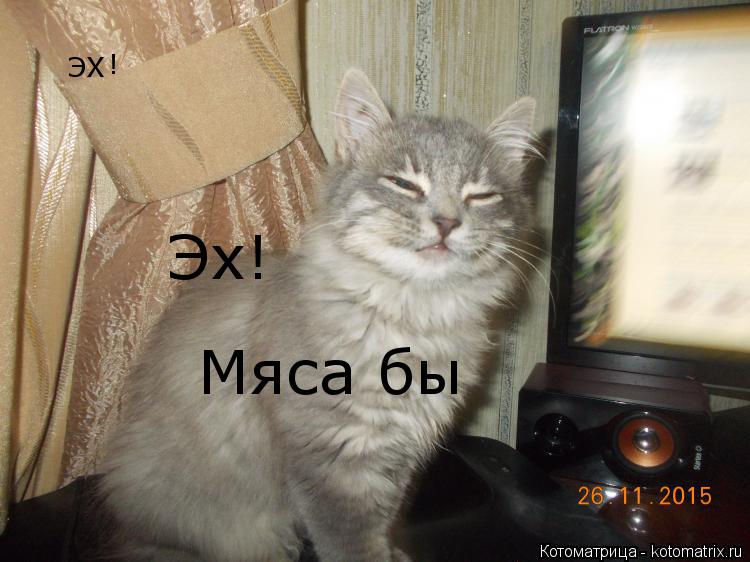 ЭХ ! Мяса бы Эх!... Котоматрица: ЭХ ! Мяса бы Эх!