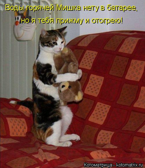 Воды горячей Мишка нету в батарее, но я тебя прижму и отогрею!... Котоматрица: Воды горячей Мишка нету в батарее, но я тебя прижму и отогрею!