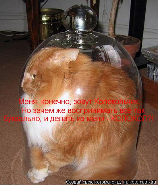Котоматрица: Меня, конечно, зовут Колокольчик. Но зачем же воспринимать всё так  буквально, и делать из меня - КОЛОКОЛ?!