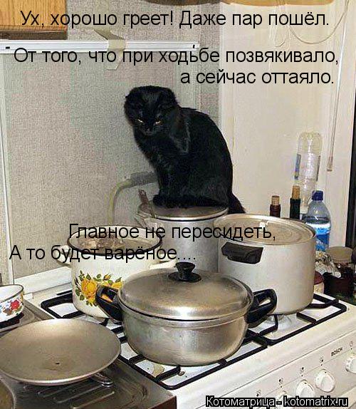 Ух, хорошо греет! Даже пар пошёл. От того, что при ходьбе позвякивало, а сейчас оттаяло. Главное не ... Котоматрица: Ух, хорошо греет! Даже пар пошёл. От того, что при ходьбе позвякивало, а сейчас оттаяло. Главное не пересидеть, А то будет варёное....