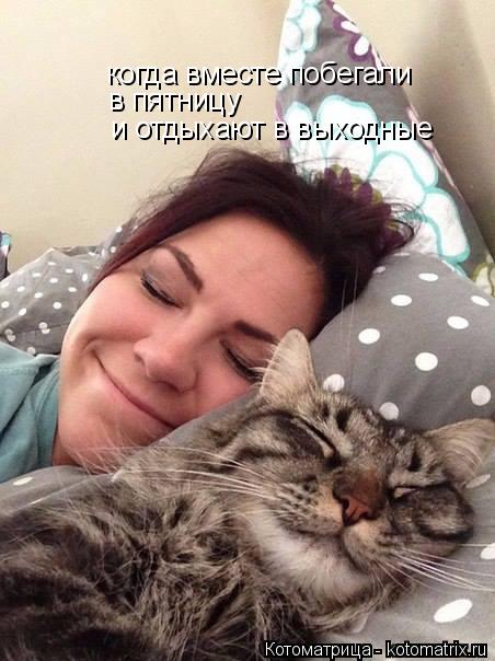 Котоматрица: когда вместе побегали в пятницу и отдыхают в выходные