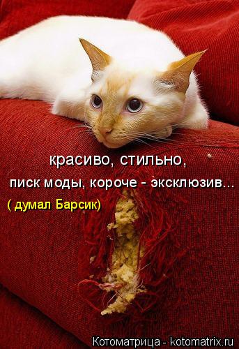 Котоматрица: красиво, стильно,  писк моды, короче - эксклюзив... ( думал Барсик)
