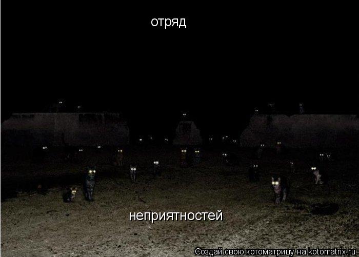 Котоматрица: отряд  неприятностей