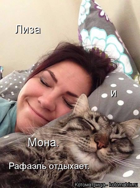 Котоматрица: и Рафаэль отдыхает. Лиза Мона.