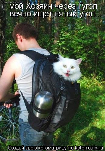 Котоматрица: мой Хозяин через Гугол , вечно ищет пятый угол...