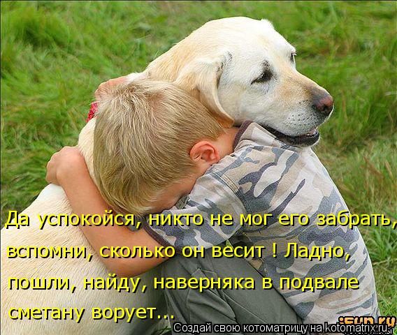Да успокойся, никто не мог его забрать, пошли, найду, наверняка в подвале сметану ворует... вспомн... Котоматрица: Да успокойся, никто не мог его забрать, пошли, найду, наверняка в подвале сметану ворует... вспомни, сколько он весит ! Ладно,