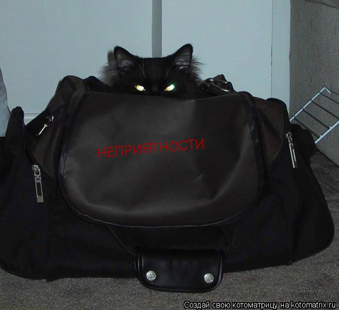 Котоматрица: НЕПРИЯТНОСТИ
