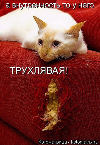 Котоматрица: а внутренность то у него  ТРУХЛЯВАЯ!