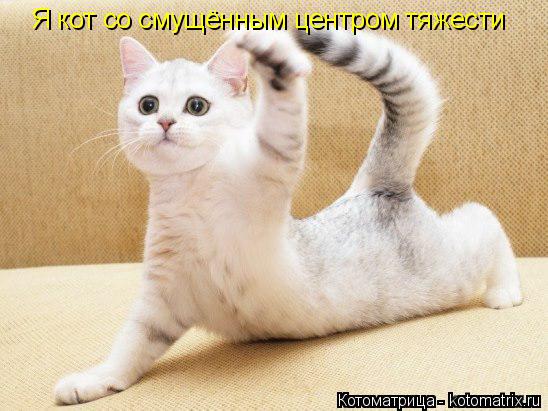 Котоматрица: Я кот со смущённым центром тяжести