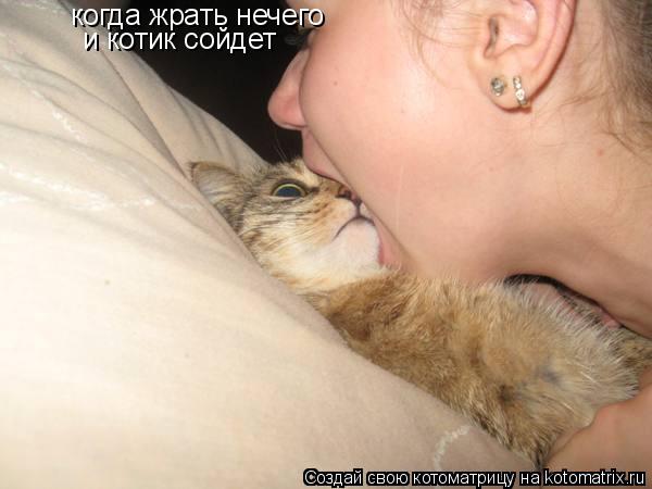 Котоматрица: когда жрать нечего и котик сойдет