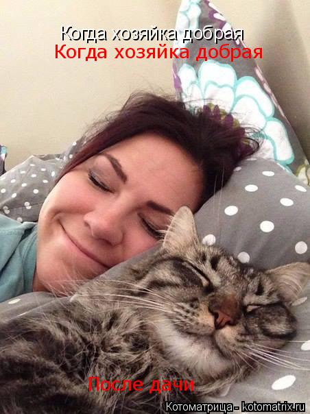 Котоматрица: Когда хозяйка добрая Когда хозяйка добрая После дачи