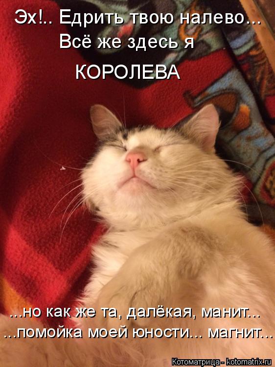 Эх!.. Едрить твою налево... Всё же здесь я КОРОЛЕВА ...но как же та, далёкая, манит... ...помойка мое... Котоматрица: Эх!.. Едрить твою налево... Всё же здесь я КОРОЛЕВА ...но как же та, далёкая, манит... ...помойка моей юности... магнит...