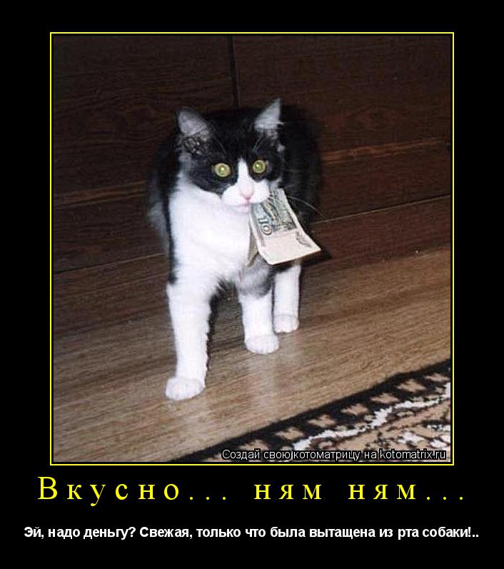 Котоматрица: Вкусно... ням ням... Эй, надо деньгу? Свежая, только что была вытащена из рта собаки!..