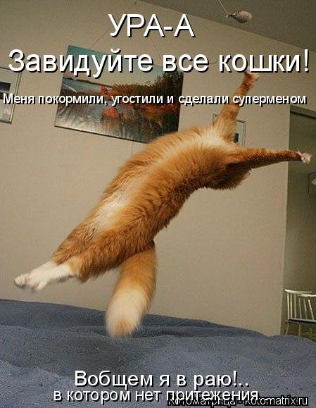 УРА-А Завидуйте все кошки! Меня покормили, угостили и сделали суперменом Вобщем я в раю!.. в котором ... Котоматрица: УРА-А Завидуйте все кошки! Меня покормили, угостили и сделали суперменом Вобщем я в раю!.. в котором нет притежения...
