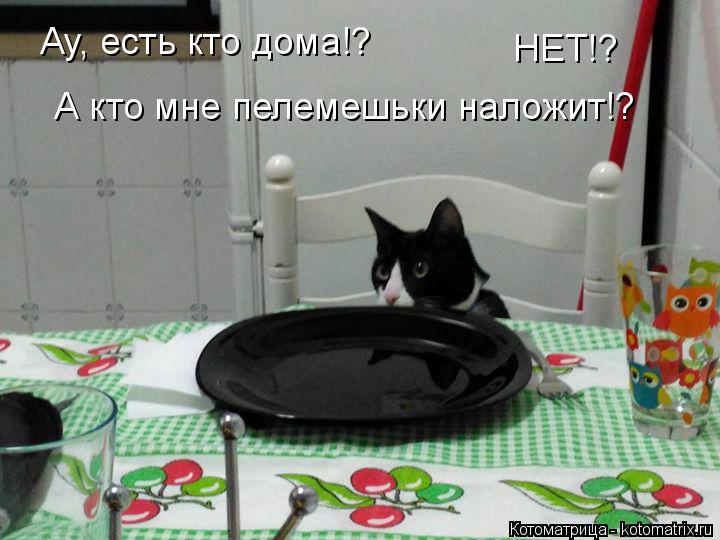 Ау, есть кто дома!? НЕТ!? А кто мне пелемешьки наложит!?... Котоматрица: Ау, есть кто дома!? НЕТ!? А кто мне пелемешьки наложит!?