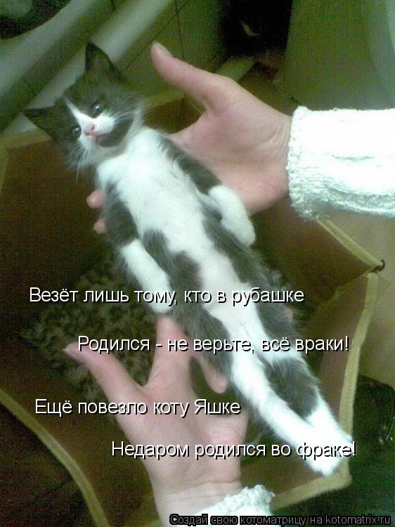 Везёт лишь тому, кто в рубашке Родился - не верьте, всё враки! Ещё повезло коту Яшке Недаром родился... Котоматрица: Везёт лишь тому, кто в рубашке Родился - не верьте, всё враки! Ещё повезло коту Яшке Недаром родился во фраке!
