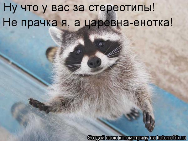 Ну что у вас за стереотипы! Не прачка я, а царевна-енотка!... Котоматрица: Ну что у вас за стереотипы! Не прачка я, а царевна-енотка!