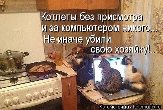 Котлеты без присмотра и за компьютером никого... Не иначе убили свою хозяйку!..... Котоматрица: Котлеты без присмотра и за компьютером никого... Не иначе убили свою хозяйку!..