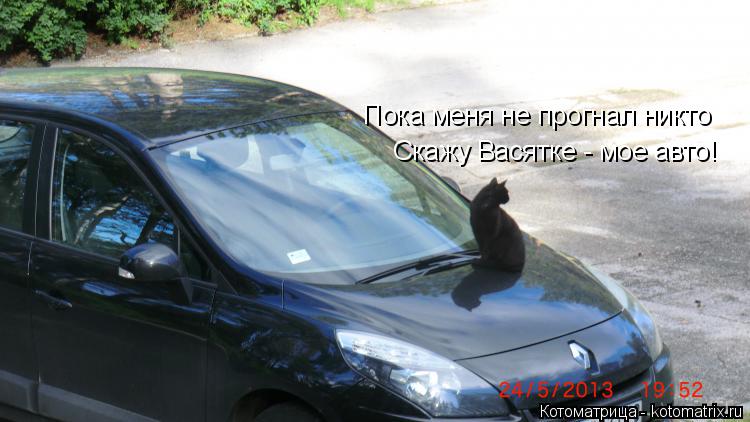 Скажу Васятке - мое авто! Пока меня не прогнал никто... Котоматрица: Скажу Васятке - мое авто! Пока меня не прогнал никто