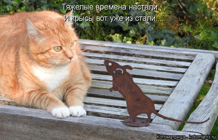 Котоматрица: Тяжелые времена настали.... И крысы вот уже из стали....