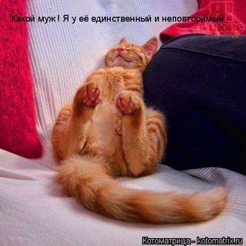 Какой муж ! Я у её единственный и неповторимый.... Котоматрица: Какой муж ! Я у её единственный и неповторимый.