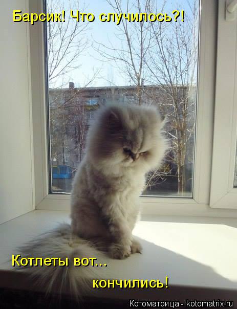 Барсик! Что случилось?! Котлеты вот... кончились!... Котоматрица: Барсик! Что случилось?! Котлеты вот... кончились!