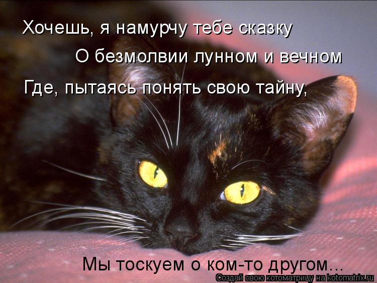 Котоматрица: Хочешь, я намурчу тебе сказку О безмолвии лунном и вечном Где, пытаясь понять свою тайну, Мы тоскуем о ком-то другом...