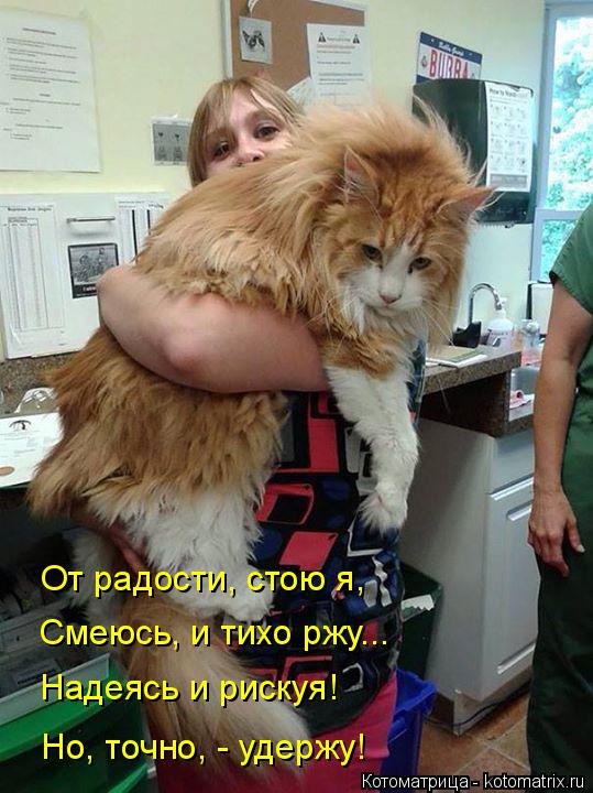 От радости, стою я, Смеюсь, и тихо ржу... Надеясь и рискуя! Но, точно, - удержу!... Котоматрица: От радости, стою я, Смеюсь, и тихо ржу... Надеясь и рискуя! Но, точно, - удержу!