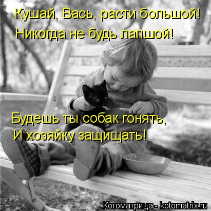 Котоматрица: Кушай, Вась, расти большой! Никогда не будь лапшой! Будешь ты собак гонять,  И хозяйку защищать!