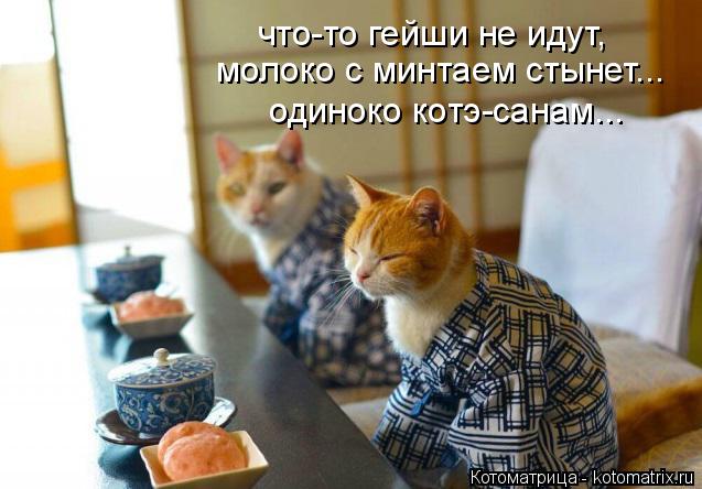 что-то гейши не идут, молоко с минтаем стынет... одиноко котэ-санам...... Котоматрица: что-то гейши не идут, молоко с минтаем стынет... одиноко котэ-санам...
