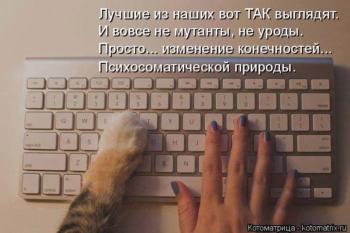 Лучшие из наших вот ТАК выглядят. И вовсе не мутанты, не уроды. Просто... изменение конечностей... Пс... Котоматрица: Лучшие из наших вот ТАК выглядят. И вовсе не мутанты, не уроды. Просто... изменение конечностей... Психосоматической природы.