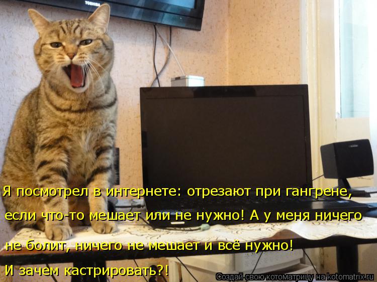 Я посмотрел в интернете: отрезают при гангрене, если что-то мешает или не нужно! А у меня ничего не б... Котоматрица: Я посмотрел в интернете: отрезают при гангрене, если что-то мешает или не нужно! А у меня ничего не болит, ничего не мешает и всё нужно! И заче