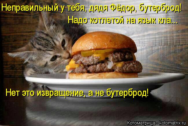 Неправильный у тебя, дядя Фёдор, бутерброд! Надо котлетой на язык кла... Нет это извращение, а не бут... Котоматрица: Неправильный у тебя, дядя Фёдор, бутерброд! Надо котлетой на язык кла... Нет это извращение, а не бутерброд! Нет это извращение, а не бутерброд