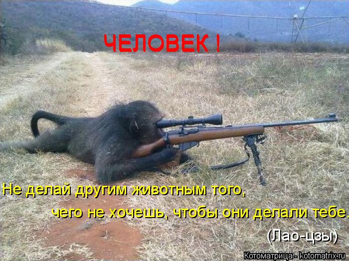 ЧЕЛОВЕК ! ЧЕЛОВЕК ! Не делай другим животным того, чего не хочешь, чтобы они делали тебе. (Лао-цзы)... Котоматрица: ЧЕЛОВЕК ! ЧЕЛОВЕК ! Не делай другим животным того, чего не хочешь, чтобы они делали тебе. (Лао-цзы)