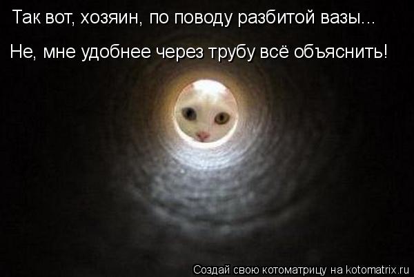 Так вот, хозяин, по поводу разбитой вазы... Не, мне удобнее через трубу всё объяснить!... Котоматрица: Так вот, хозяин, по поводу разбитой вазы... Не, мне удобнее через трубу всё объяснить!