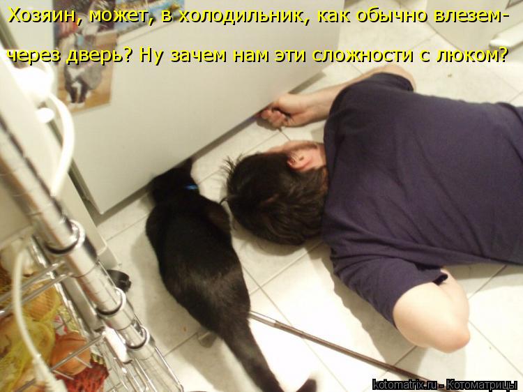 Хозяин, может, в холодильник, как обычно влезем- через дверь? Ну зачем нам эти сложности с люком?... Котоматрица: Хозяин, может, в холодильник, как обычно влезем- через дверь? Ну зачем нам эти сложности с люком?