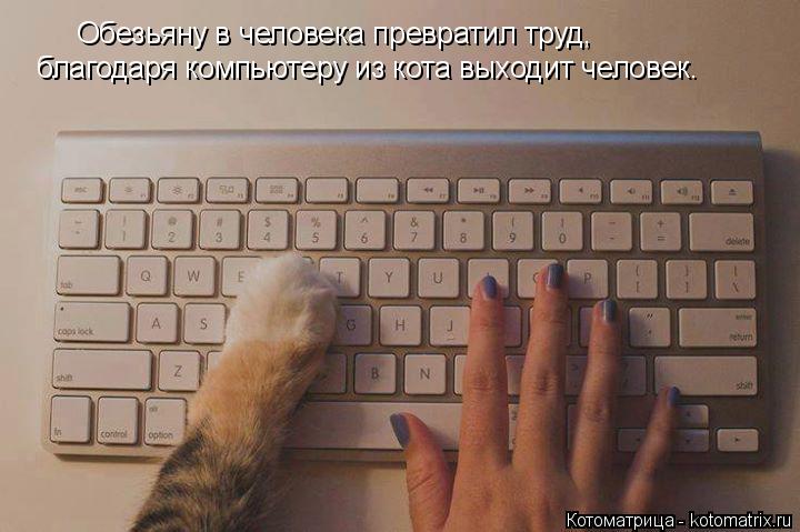 Обезьяну в человека превратил труд, благодаря компьютеру из кота выходит человек.... Котоматрица: Обезьяну в человека превратил труд, благодаря компьютеру из кота выходит человек.