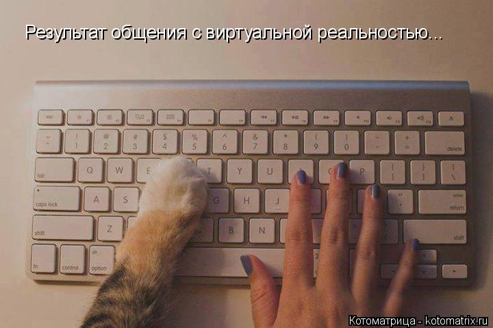 Результат общения с виртуальной реальностью...... Котоматрица: Результат общения с виртуальной реальностью...