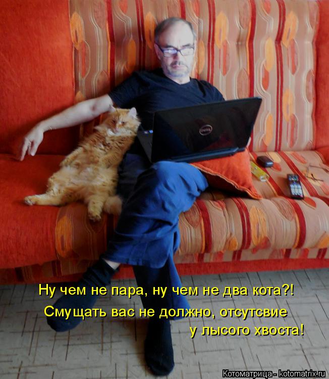 Ну чем не пара, ну чем не два кота?! Смущать вас не должно, отсутсвие у лысого хвоста!... Котоматрица: Ну чем не пара, ну чем не два кота?! Смущать вас не должно, отсутсвие у лысого хвоста!