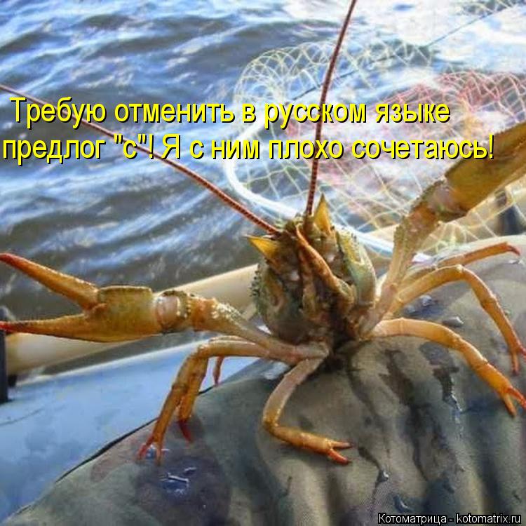 Требую отменить в русском языке предлог "с"! Я с ним плохо сочетаюсь!... Котоматрица: Требую отменить в русском языке предлог "с"! Я с ним плохо сочетаюсь!