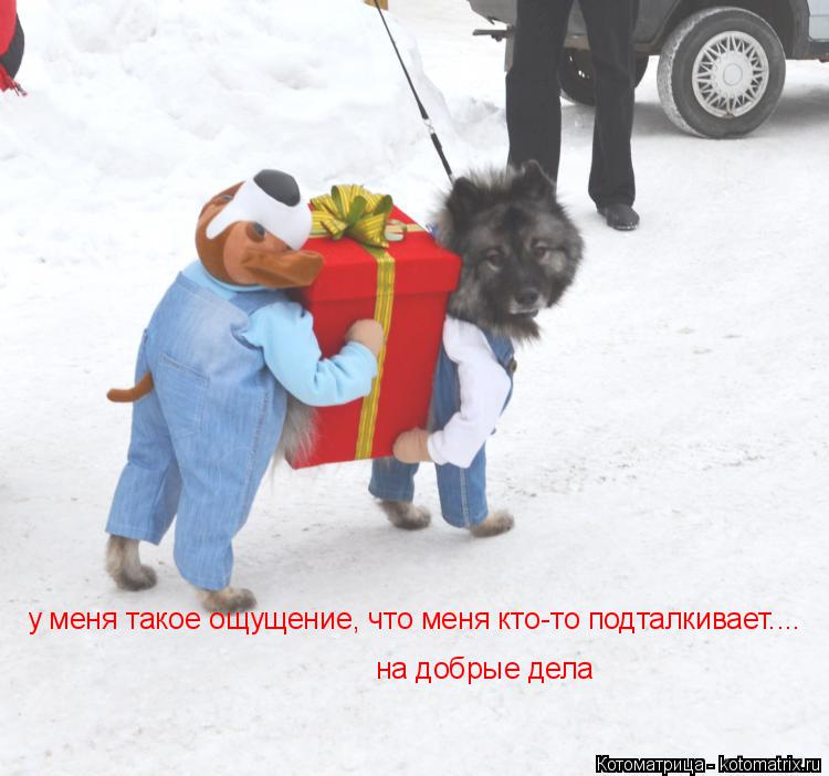 у меня такое ощущение, что меня кто-то подталкивает.... на добрые дела... Котоматрица: у меня такое ощущение, что меня кто-то подталкивает.... на добрые дела
