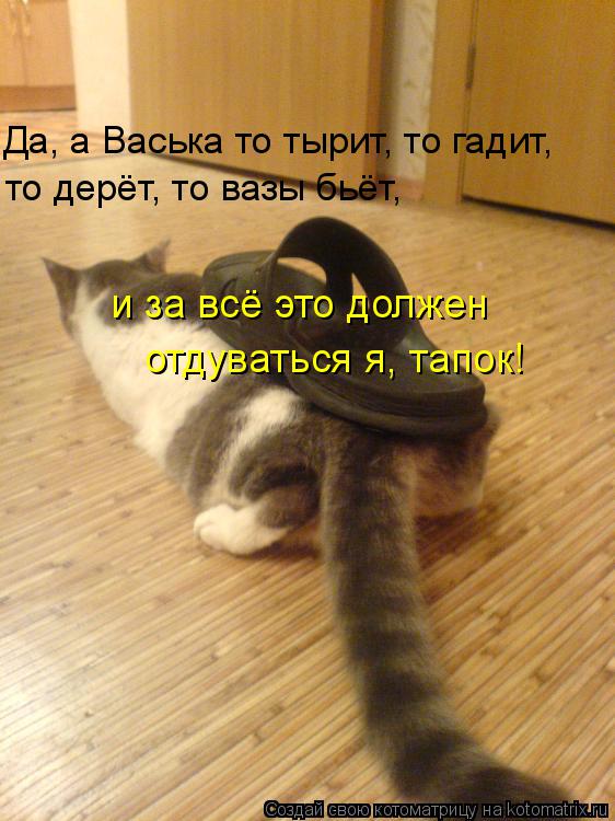 Да, а Васька то тырит, то гадит, то дерёт, то вазы бьёт, и за всё это должен отдуваться я, тапок!... Котоматрица: Да, а Васька то тырит, то гадит, то дерёт, то вазы бьёт, и за всё это должен отдуваться я, тапок!
