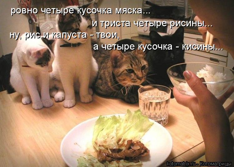 ровно четыре кусочка мяска... и триста четыре рисины... ну, рис и капуста - твои, а четыре кусочка - ... Котоматрица: ровно четыре кусочка мяска... и триста четыре рисины... ну, рис и капуста - твои, а четыре кусочка - кисины...