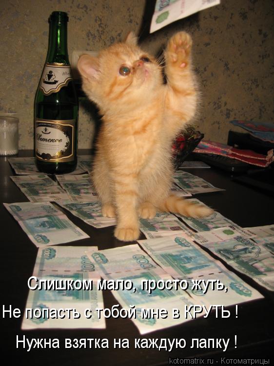 Нужна взятка на каждую лапку ! Не попасть с тобой мне в КРУТЬ ! Не попасть с тобой мне в КРУТЬ ! Слиш... Котоматрица: Нужна взятка на каждую лапку ! Не попасть с тобой мне в КРУТЬ ! Не попасть с тобой мне в КРУТЬ ! Слишком мало, просто жуть, Слишком мало, просто